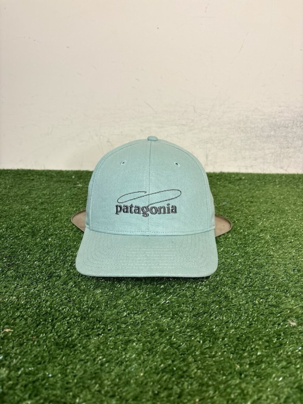 Patagonia hat cap snap back green aqua fly fishing logo adjustable mens outdoor